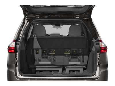 2020 Toyota Sienna XLE Auto Access Seat