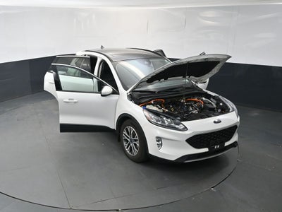 2022 Ford Escape Hybrid SEL