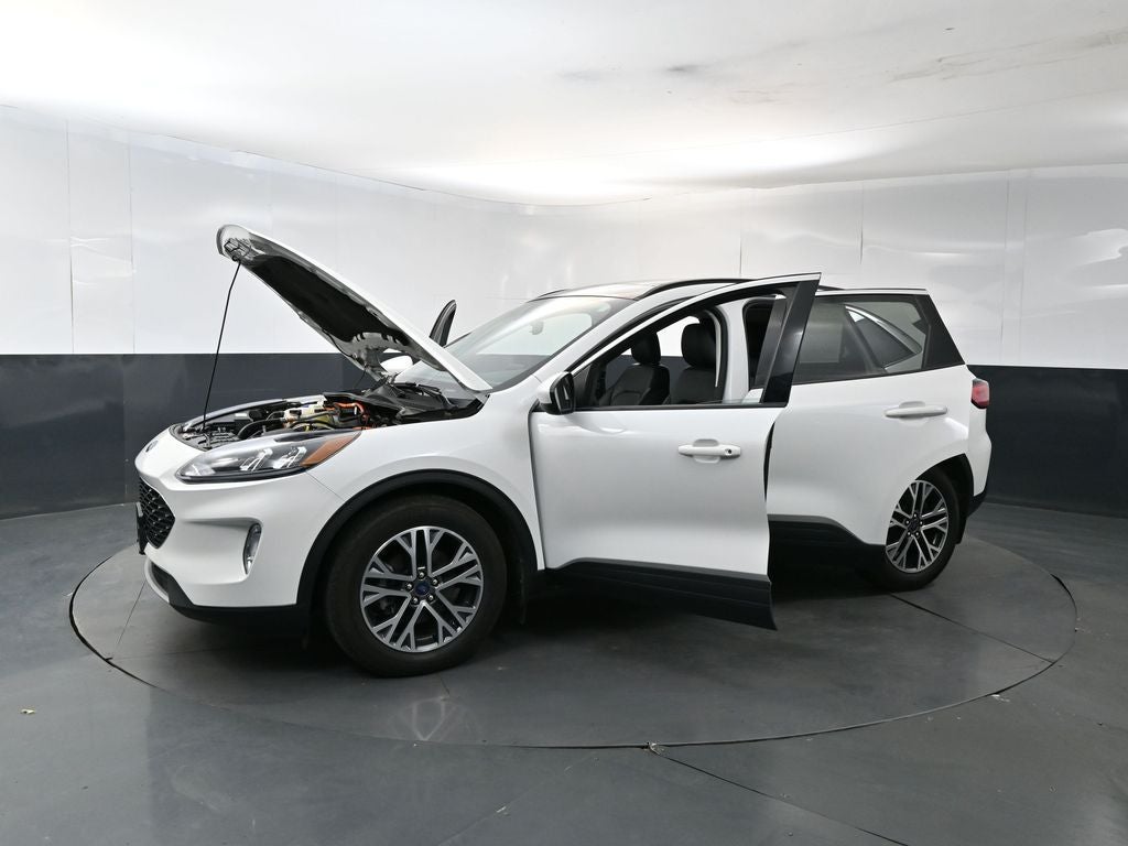 2022 Ford Escape Hybrid SEL