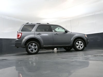 2010 Ford Escape Limited