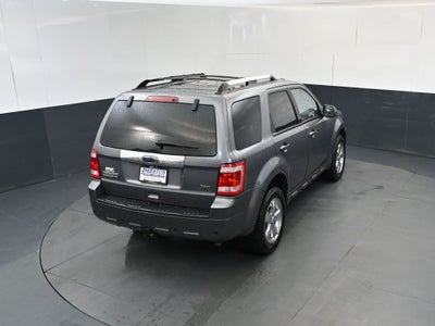 2010 Ford Escape Limited