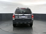 2010 Ford Escape Limited