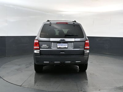 2010 Ford Escape Limited