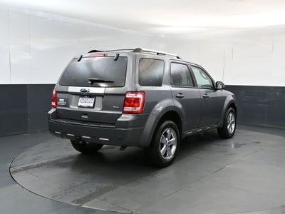 2010 Ford Escape Limited