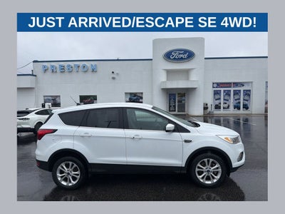 2019 Ford Escape SE