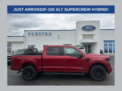 2024 Ford F-150 XLT